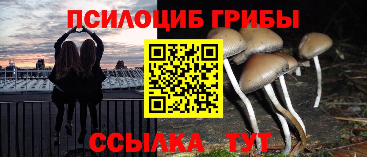 Нижнеудинск  Галлюциногенные грибы мухоморы  даркнет сайт  Вход с VPN 