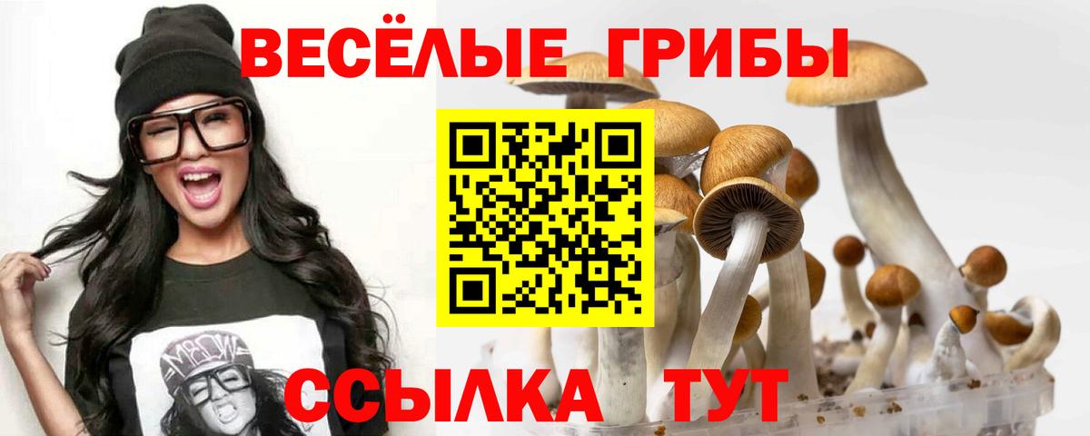 Псилоцибиновые грибы Magic Shrooms Нижнеудинск